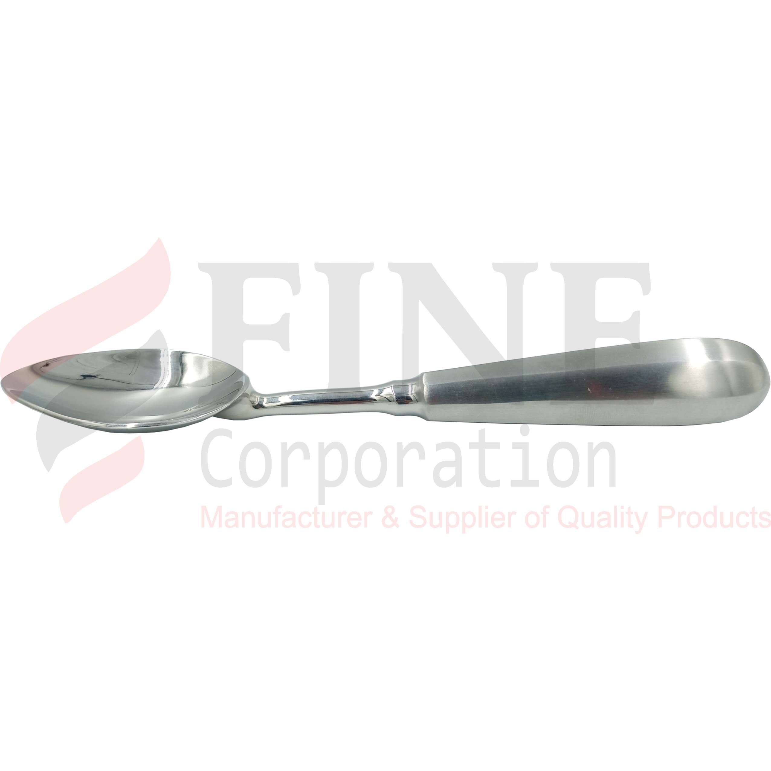 Stainless Steel Spoon 