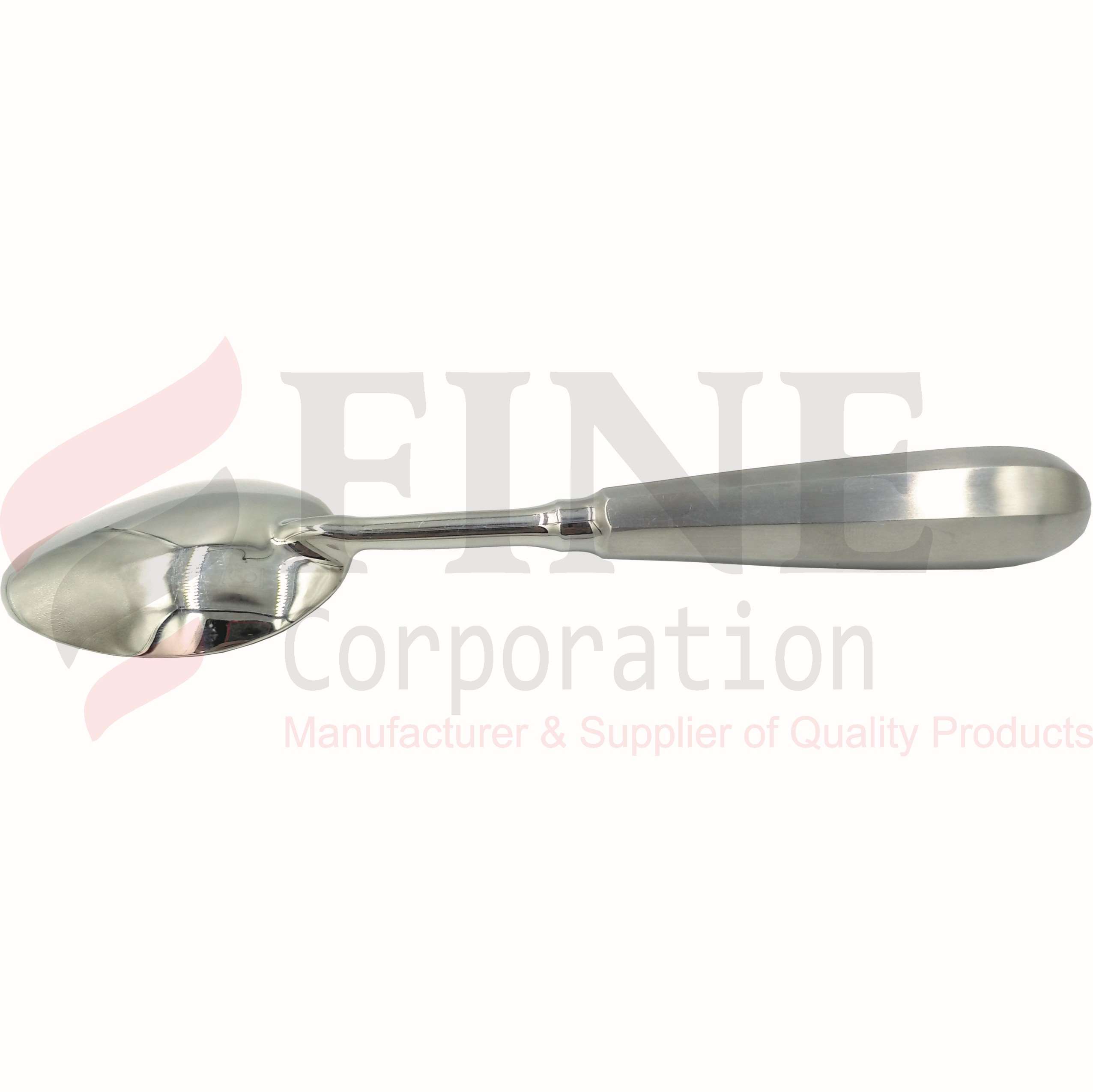 Stainless Steel Spoon 