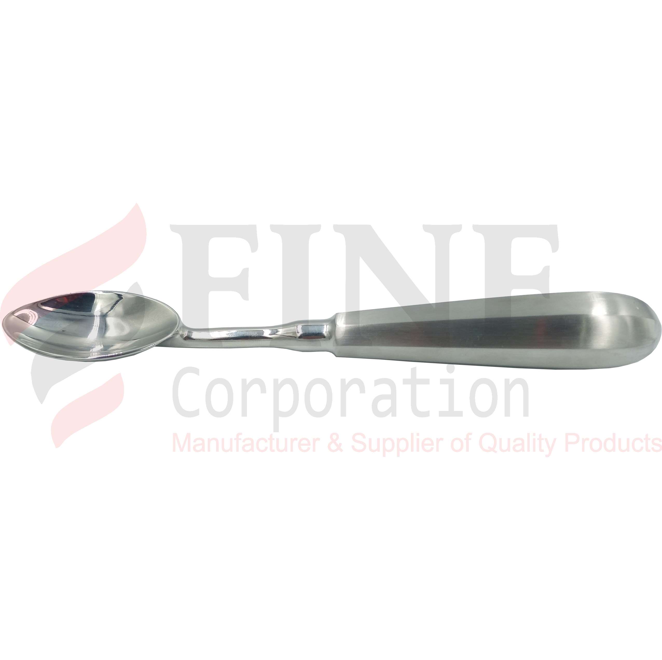 Stainless Steel Spoon 