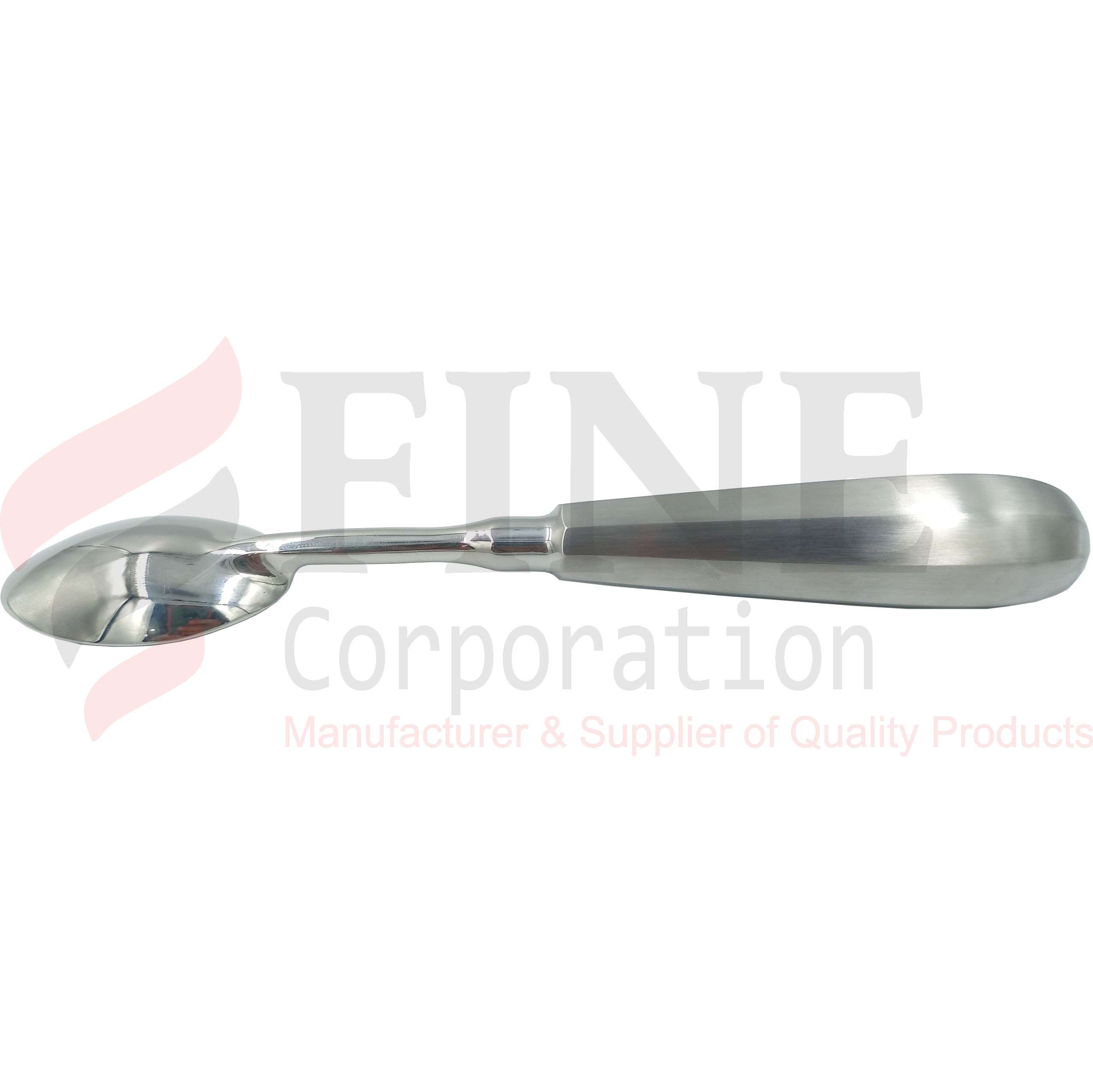 Stainless Steel Spoon 